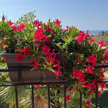Villa Casa Serenity *